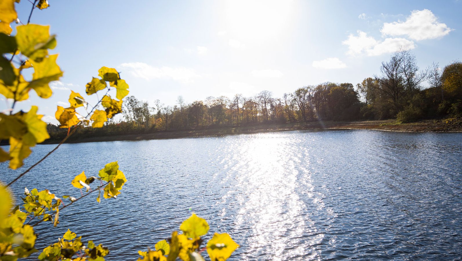 News von Gelsenwasser