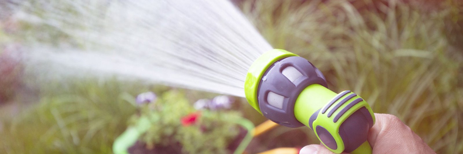 Gartenbewässerung: Brunnen bohren oder mit Trinkwasser