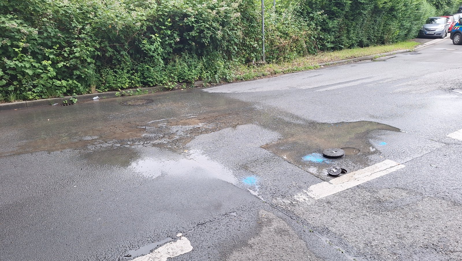 Rohrschaden Altenessener Straße Gelsenkirchen