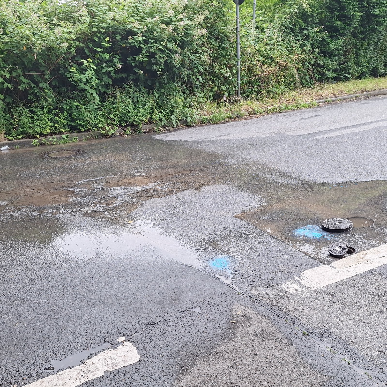 Rohrschaden Altenessener Straße Gelsenkirchen