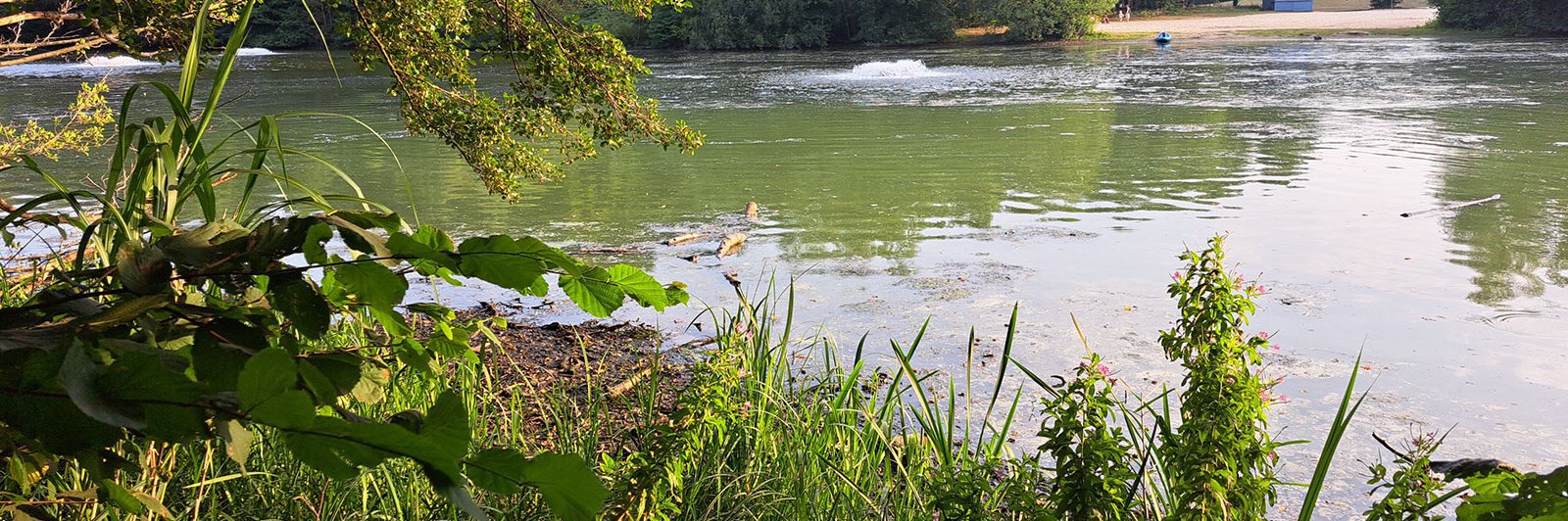 Zwischenstever im Sommer 2025