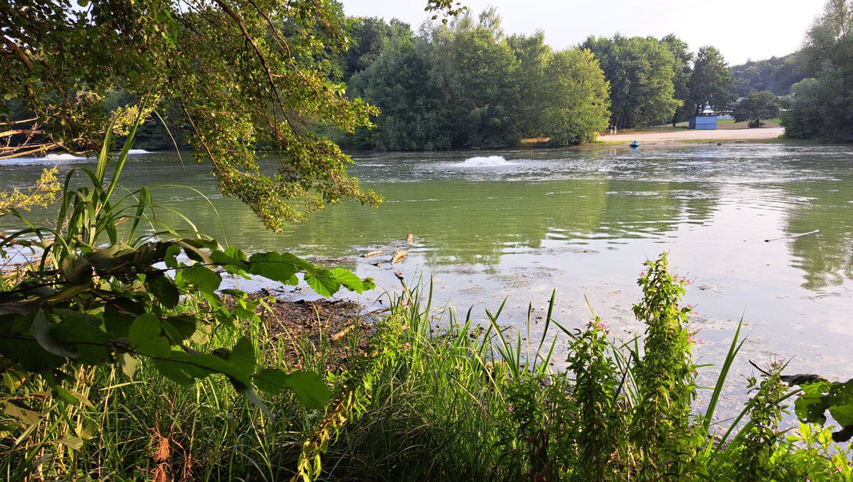 Die Situation an der Zwischenstever und den Talsperren Haltern und Hullern im Sommer - August 2025