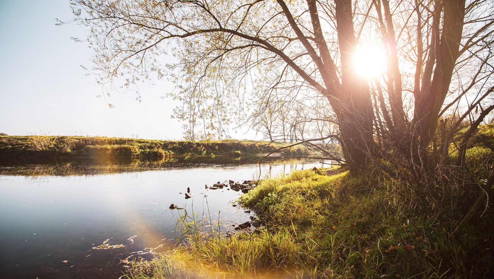 Die Stever in der Herbstsonne: Der Steverbericht 2024 berichtet über den Zustand des Flusses. 