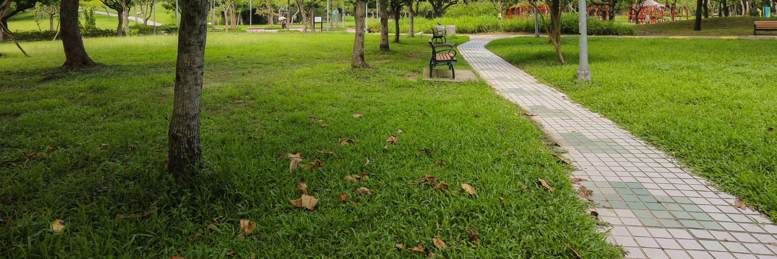 Blick in einen städtischen Park mit einem gepflasterten Gehweg, einer Bank, Wiese und Bäumen