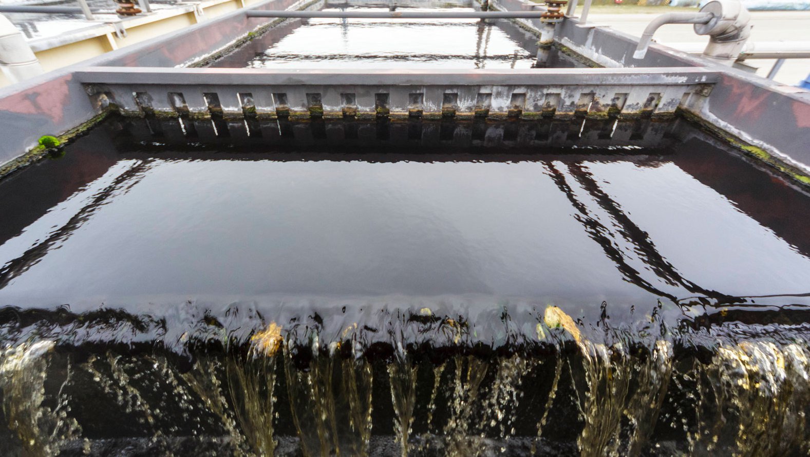 Im Abwasser steckt viel Potenzial für die Kreislaufwirtschaft: Phosphorrecycling & Klärschlammverbrennung.