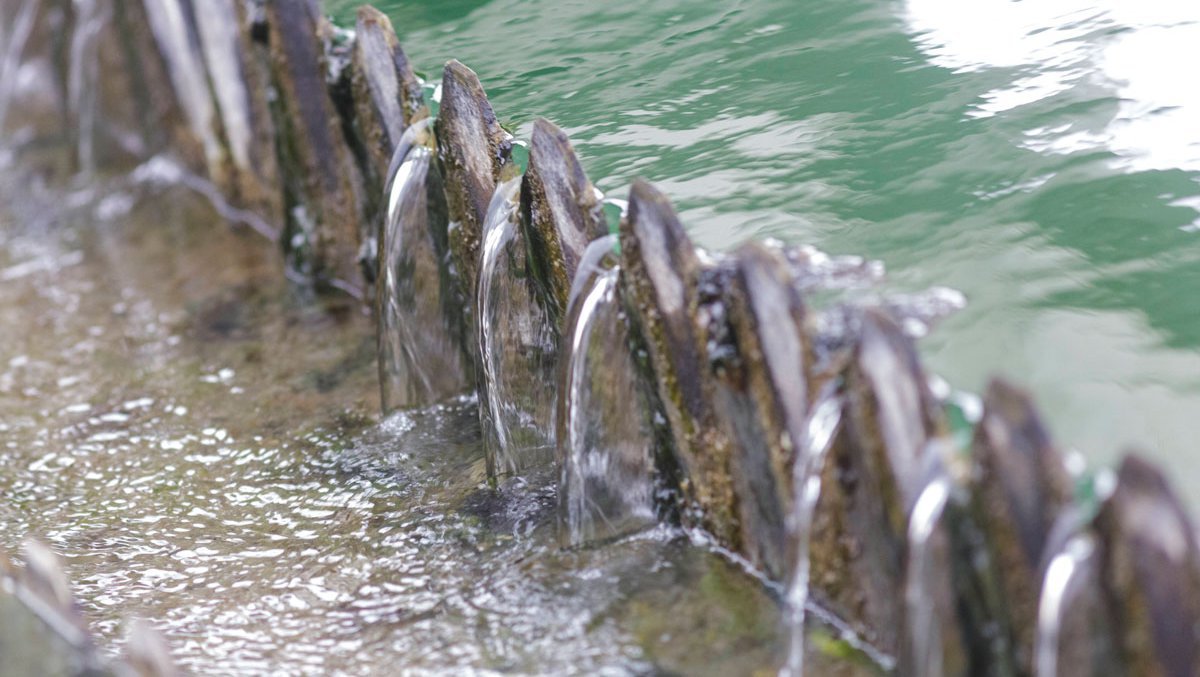 Resiliente Wasserwirtschaft als Thema der IWA LET: Digitalisierung und Cyber-Resilienz, nachhaltige und effiziente Wasseraufbereitung und Abwasserbehandlung.