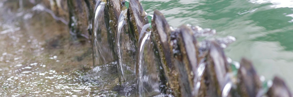 Resiliente Wasserwirtschaft als Thema der IWA LET: Digitalisierung und Cyber-Resilienz, nachhaltige und effiziente Wasseraufbereitung und Abwasserbehandlung.